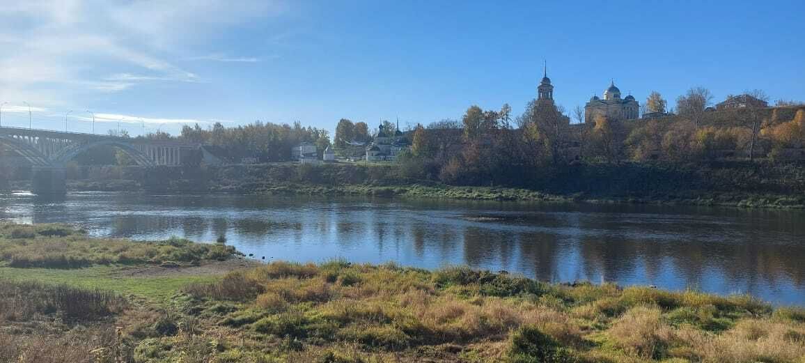 В гости к Гадюке Васильевне