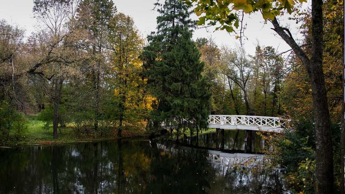 «Нижегородская история»