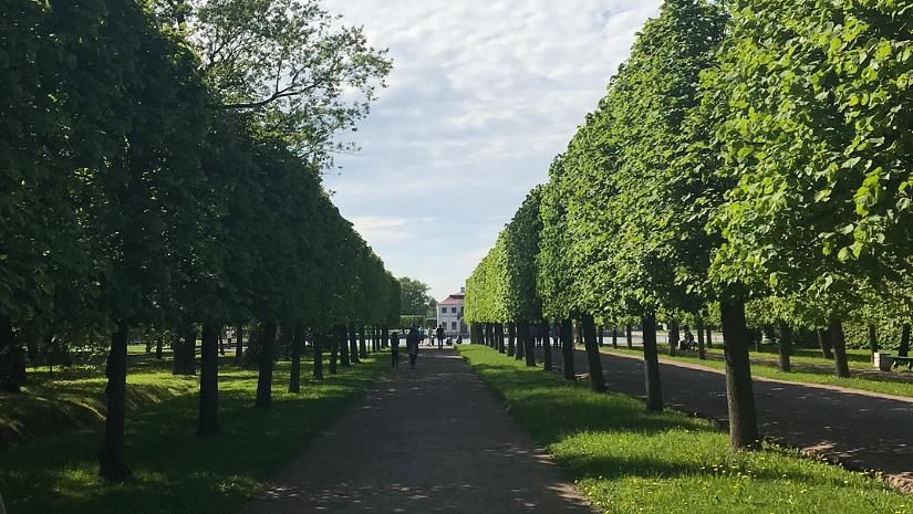 Автобусный тур из Москвы «Лето в Санкт-Петербурге», 4 дня