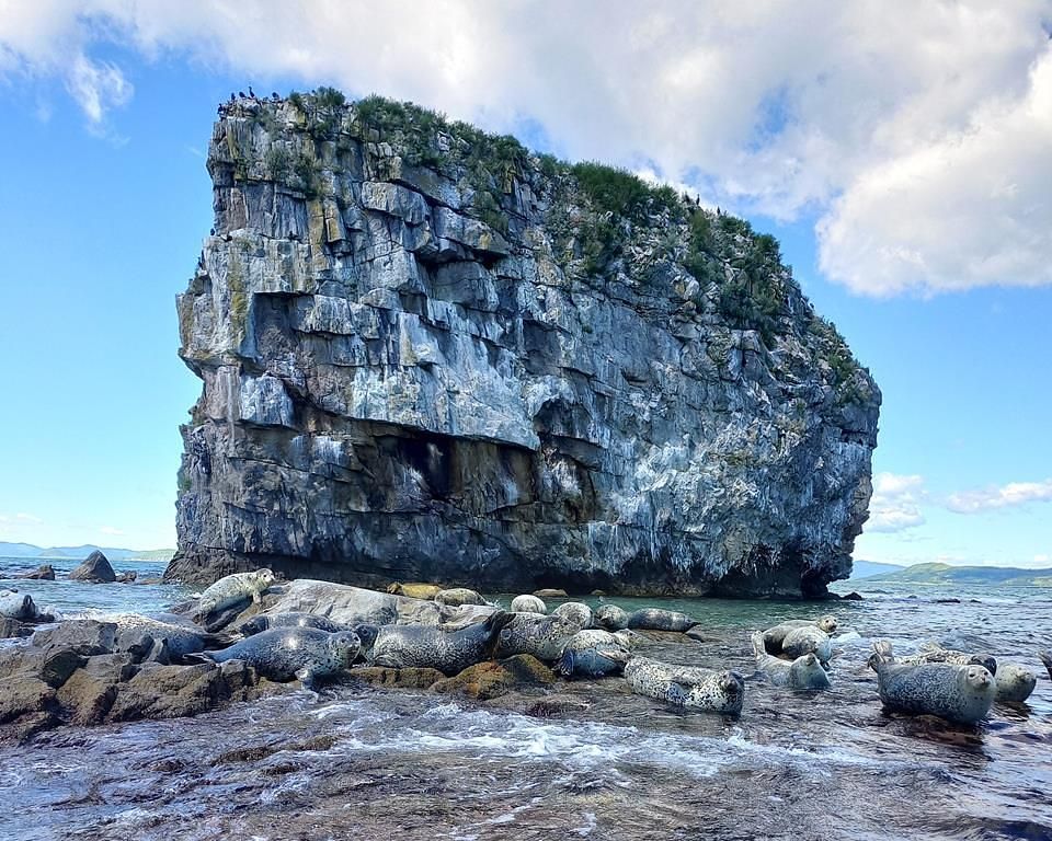 Земля леопарда + Японское море