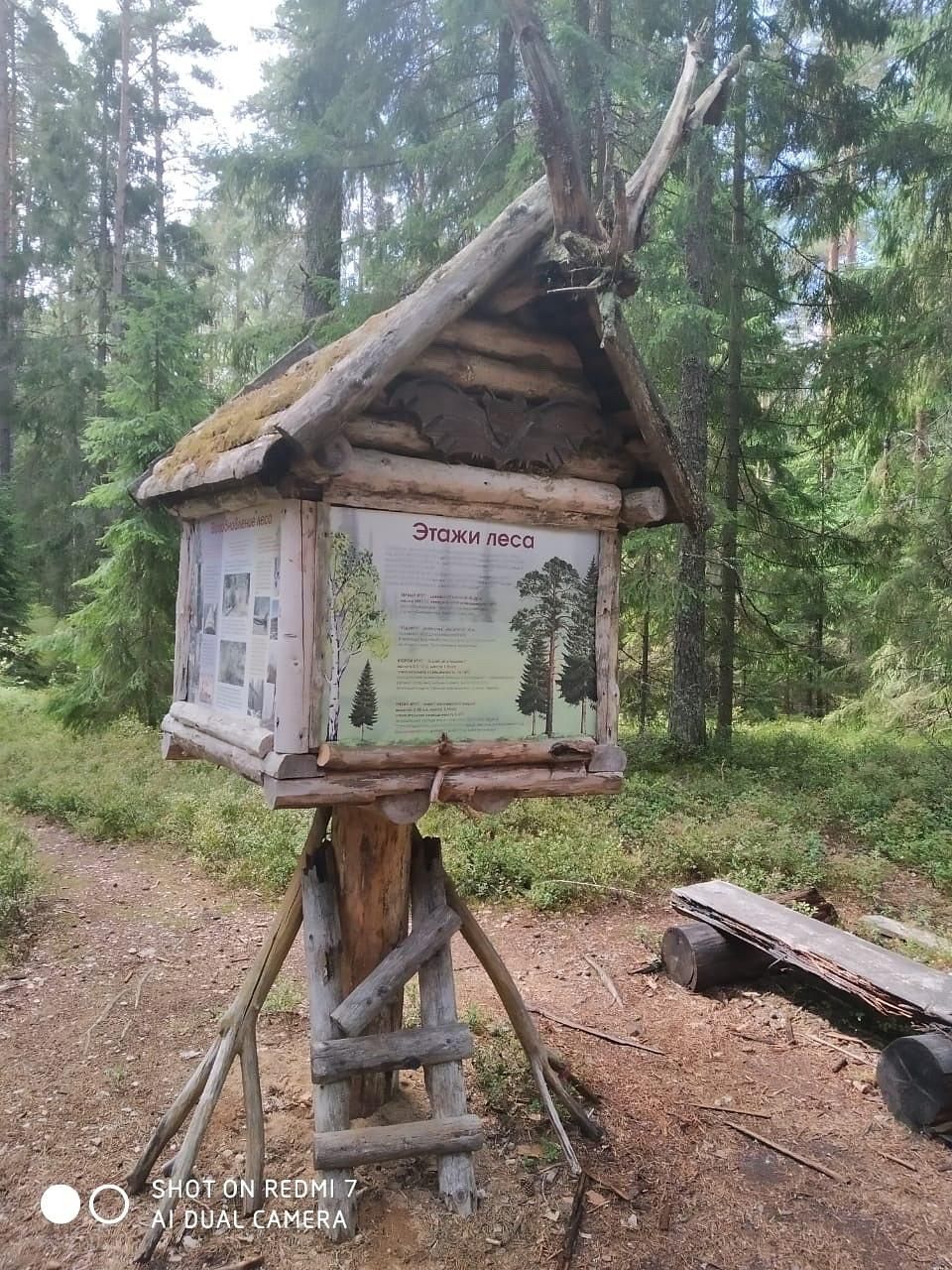 "Экология природы - экология души". В рамках проекта "Классная страна"